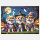 Aimant Chiens de Poméranie Citrouille Halloween Funny (Recto)