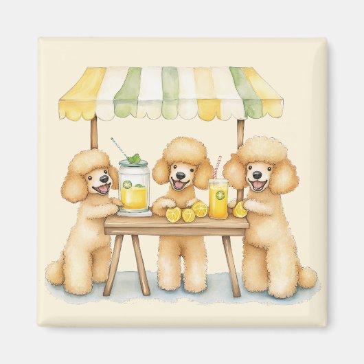 Aimant Chiens De Poodle Standard Avec Un Socle De Lemonad (Devant)