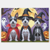 Aimant Chiens de Rat Terrier Citrouille Halloween Funny (Recto)