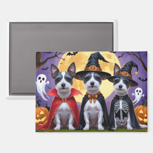 Aimant Chiens de Rat Terrier Citrouille Halloween Funny (Recto/Verso)