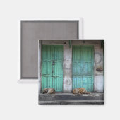 Aimant Chiens errants devant les portes vertes sales aima (Recto/Verso)