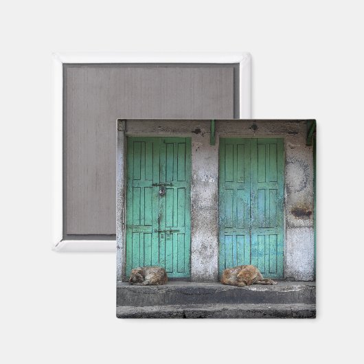 Aimant Chiens errants devant les portes vertes sales aima (Recto/Verso)