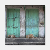 Aimant Chiens errants devant les portes vertes sales aima (Devant)