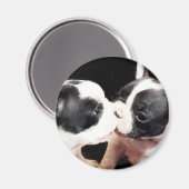 Aimant Chiens français (Recto/Verso)