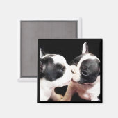 Aimant Chiens français (Recto/Verso)