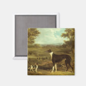 Aimant Chiens, Greyhound et Espagnol, Docteur Fop par Her (Recto/Verso)