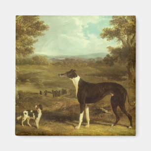 Aimant Chiens, Greyhound et Spaniel, Docteur Fop par Herr