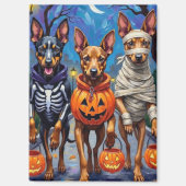 Aimant Chiens Malinois belges Trick-or-Treating Halloween (Recto)