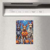 Aimant Chiens Malinois belges Trick-or-Treating Halloween (In Situ (Lave-vaisselle))