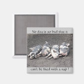 Aimant Chiens qui dorment (Recto/Verso)