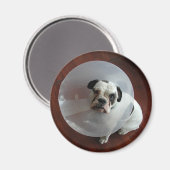 Aimant Chiffre de taureau français (Recto/Verso)