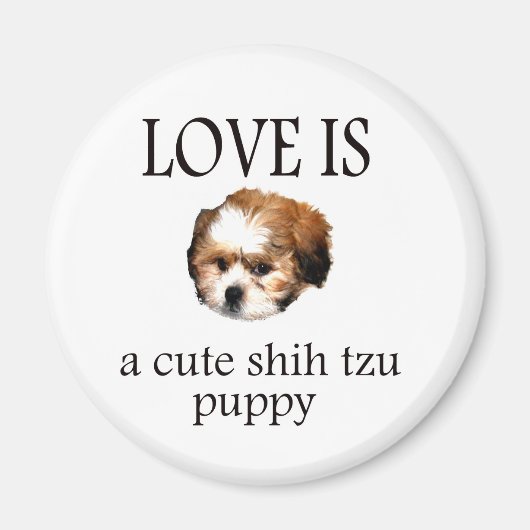 Aimant Chih Tzu Puppy (Devant)