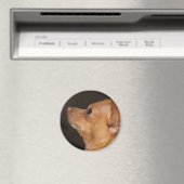 Aimant Chihuahua (In Situ (Lave-vaisselle))