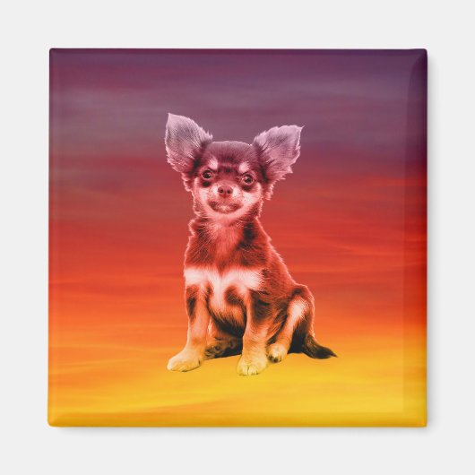 Aimant Chihuahua Chien Assis Sur La Plage (Devant)