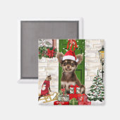 Aimant Chihuahua Chien Noël (Recto/Verso)
