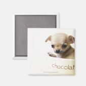 Aimant Chihuahua chippy en bol (haché) (Recto/Verso)