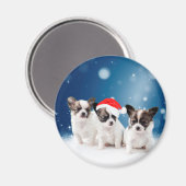 Aimant Chihuahua Chiuppies mignonnes avec Noël du Père No (Recto/Verso)