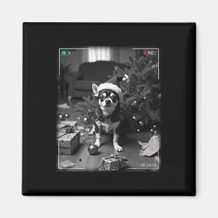 Aimant Chihuahua de Noël pris en caméra