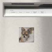 Aimant Chihuahua gâté se relaxant (In Situ (Lave-vaisselle))