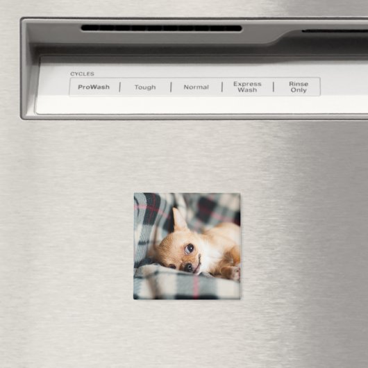 Aimant Chihuahua mignon et souriant sur couverture (In Situ (Lave-vaisselle))