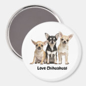 Aimant Chihuahua Puppies (Recto/Verso)