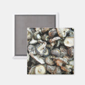Aimant Chiitake Musrooms (Recto/Verso)