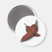 Aimant Chili (Recto/Verso)