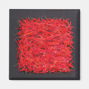 Aimant Chillies