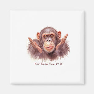 Aimant Chimp Vous Disant :"Vous Savez Comment Ça Se Passe