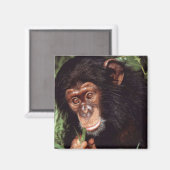 Aimant Chimpansee (Recto/Verso)