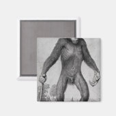 Aimant Chimpanzé, 1699 (Recto/Verso)