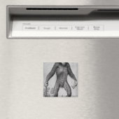 Aimant Chimpanzé, 1699 (In Situ (Lave-vaisselle))