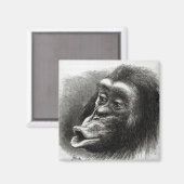 Aimant Chimpanzé déçu et Sulky (Recto/Verso)