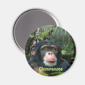 Aimant CHIMPANZEE & JUNGLE Primate Wildlife Art Magazine (Recto/Verso)