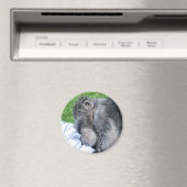 AIMANT CHIMPANZÉS (In Situ (Lave-vaisselle))