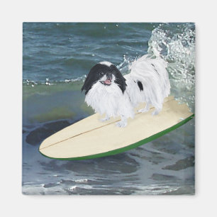 Aimant Chin Japonais Surfant