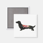 Aimant Chinchard de Longhaired (Recto/Verso)