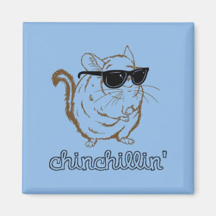 Aimant Chinchillin