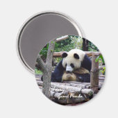 Aimant Chine, Chengdu, Panda géant (aimant) (Recto/Verso)