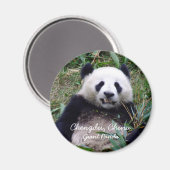 Aimant Chine, Chengdu, Panda géant (aimant) (Recto/Verso)
