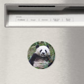 Aimant Chine, Chengdu, Panda géant (aimant) (In Situ (Lave-vaisselle))
