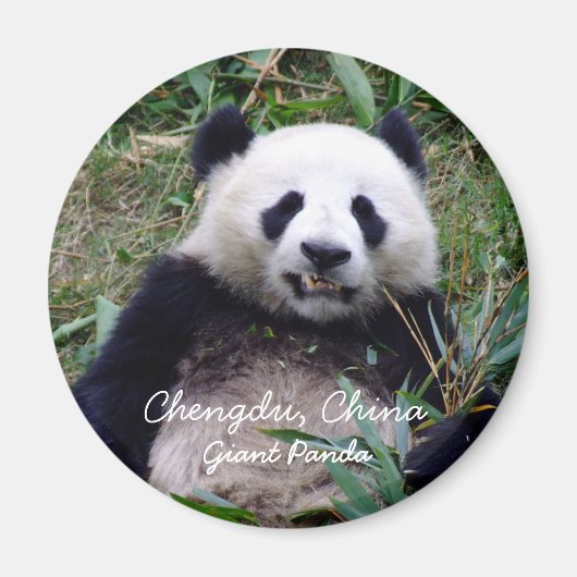 Aimant Chine, Chengdu, Panda géant (aimant) (Devant)