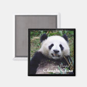 Aimant Chine, Chengdu, Panda II géant (aimant) (Recto/Verso)