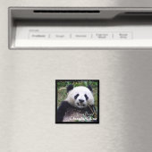 Aimant Chine, Chengdu, Panda II géant (aimant) (In Situ (Lave-vaisselle))