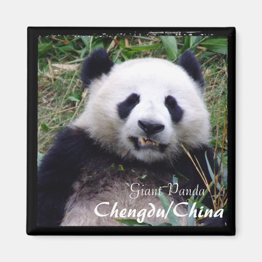Aimant Chine, Chengdu, Panda II géant (aimant) (Devant)