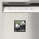 Aimant Chine, Chengdu, Pandas géants (aimant) (In Situ (Lave-vaisselle))