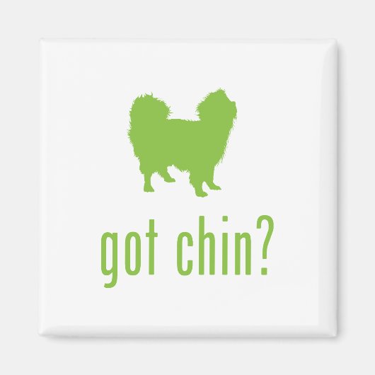 Aimant Chine japonaise (Devant)