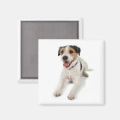 Aimant chiot (Recto/Verso)