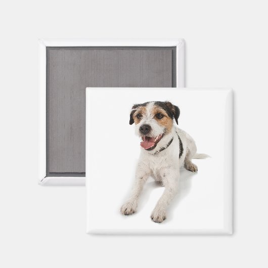 Aimant chiot (Recto/Verso)