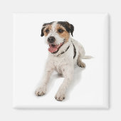 Aimant chiot (Devant)